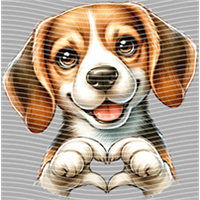 Valentine's Day-QRJ  4692